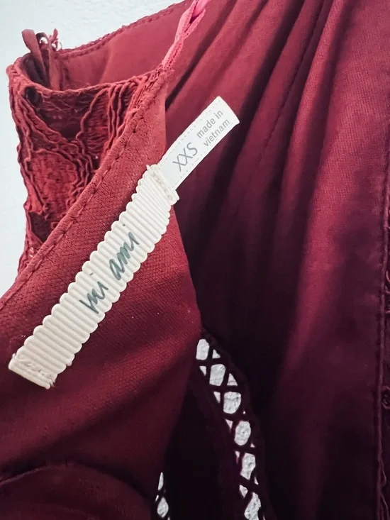 Francesca’s x Mi Ami Lace Dress - Picture 3 of 5